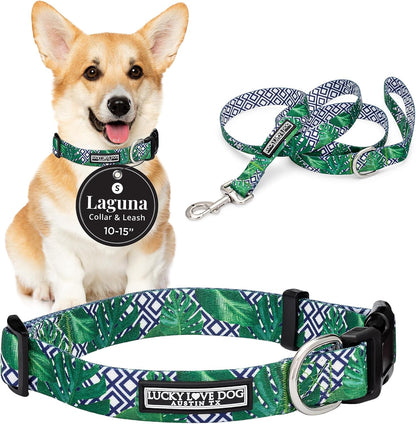 Lucky Love Dog - Easy Click Buckle Dog Collar with Leash Set Combo, Durable & Comfortable for Male & Female Dogs, Pet Collar for Medium Dogs, Secure Fit - Blackbird Combo, Medium60