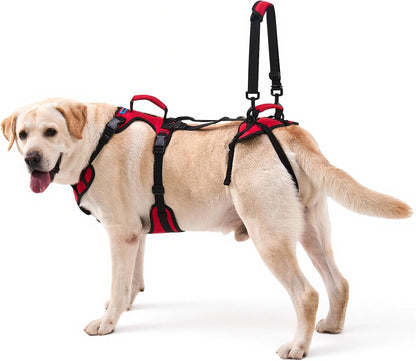 Dog Lifting Harness for Medium Dogs, Dual Handle Dog Support Harness for Daily Walking Assistance, Male Dog-Friendly, Breathable & Easy on Mobility Aid, Red, M1
