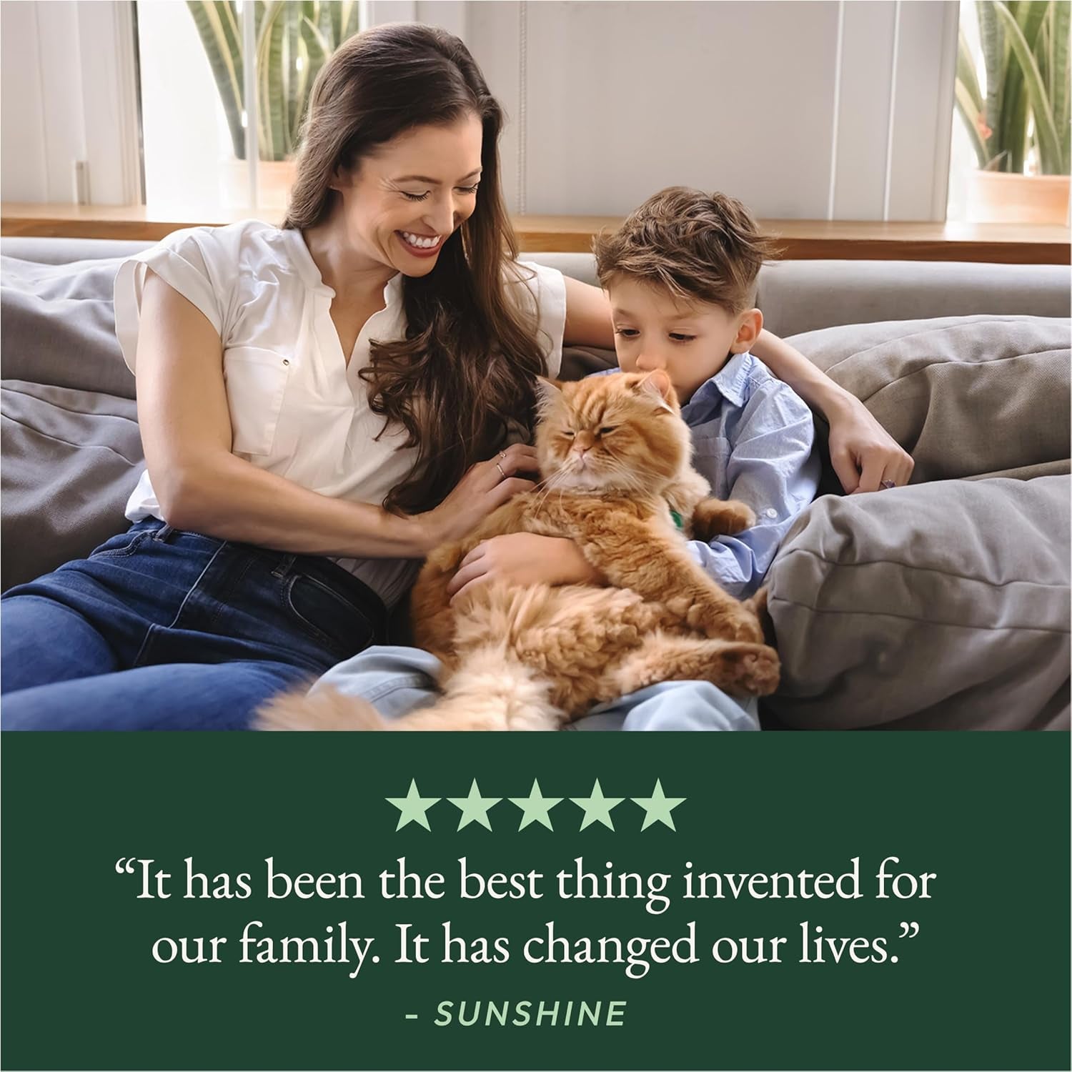 purina-tidy-cats-litter-pellets-breeze-refill-litter-pellets-in-recyclable-box-6-3-5-lb-bags