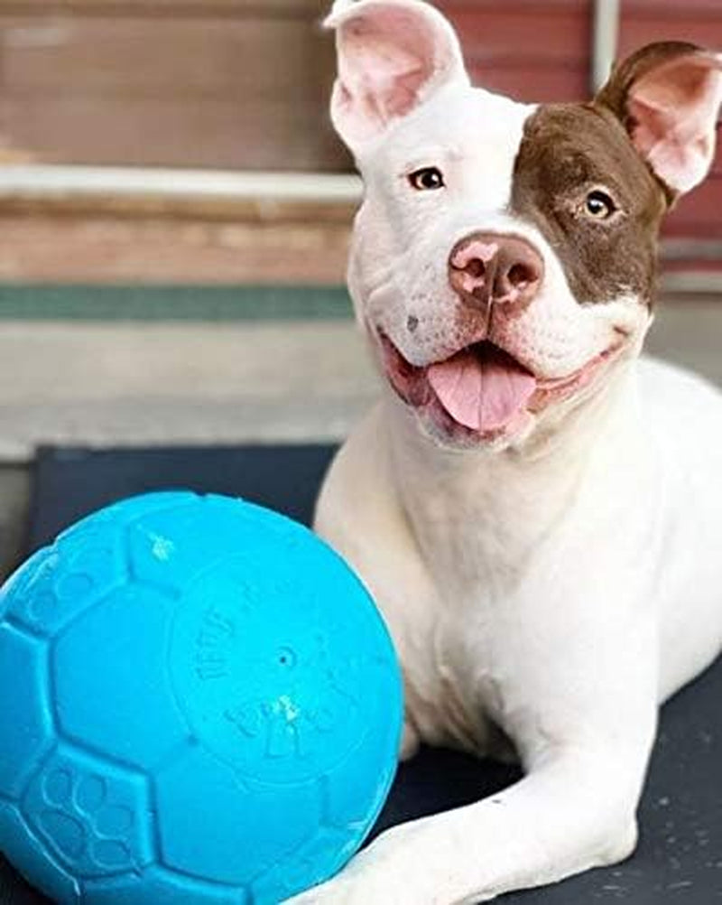 jolly-pets-large-soccer-ball-floating-bouncing-dog-toy-8-inch-diameter-ocean-blue-large-8-inch-durable-dog-soccer-ball-for-dogs-60-to-90-lbs-wont-deflate-when-punctured-floats-for-water-play-made-in-usa