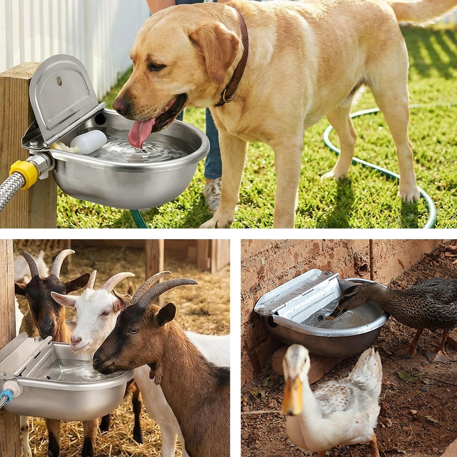 automatic-dog-water-dispenser-auto-filling-water-bowl-for-dogs-cats-chickens-and-livestock-indoor-outdoor-pet-waterer-feeder-with-float-valve