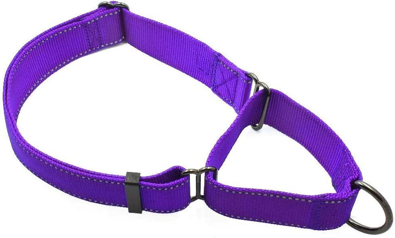 max-and-neo-nylon-martingale-collar-we-donate-to-a-dog-rescue-for-every-collar-sold-medium-orange