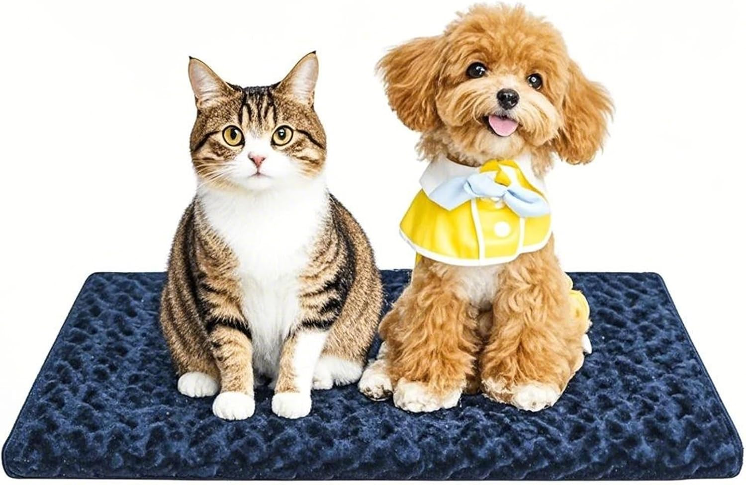 dog-bed-mat-soft-comfortable-dog-kennel-pad-for-crate-durable-crate-bed-mat-for-dogs-cats-ideal-for-crate-kennel-and-home-use