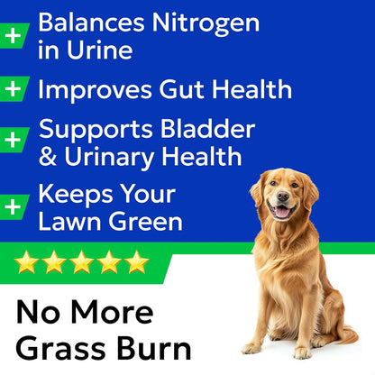 BARK&SPARK Green Grass Dog Chews – Dog Pee Grass & Urine Neutralizer Lawn | Grass Burn Spot Chews with Probiotics & Enzymes, Helps Reduce Lawn Burn from Dog Urine (120 Soft Chews)3