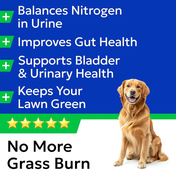 BARK&SPARK Green Grass Dog Chews – Dog Pee Grass & Urine Neutralizer Lawn | Grass Burn Spot Chews with Probiotics & Enzymes, Helps Reduce Lawn Burn from Dog Urine (120 Soft Chews)3