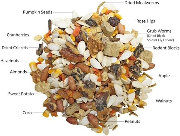 Exotic Nutrition Squirrel Complete (1.75 Lb.) - Healthy Natural Food - Nutritional Diet for Pet & Captive Squirrels - Ground, Grey, Flying Squirrels, & Chipmunks5
