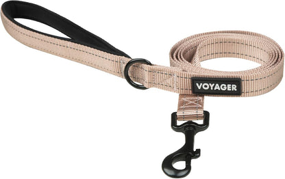 Best Pet Supplies Voyager Nylon Dog Leash - Fuchsia, Small | 5Ft in Length, 5/8" in Width, Reflective, Soft Neoprene Handle, Heavy Duty Metal Clips for Running, Walking & Training20