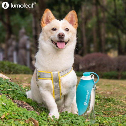 Lumoleaf Dog Water Bottle for Walking, Portable Pet Water Dispenser with Foldable Leaf Bowl – Lightweight Travel Bottle for Small & Medium Dogs, 20 Fl Oz7