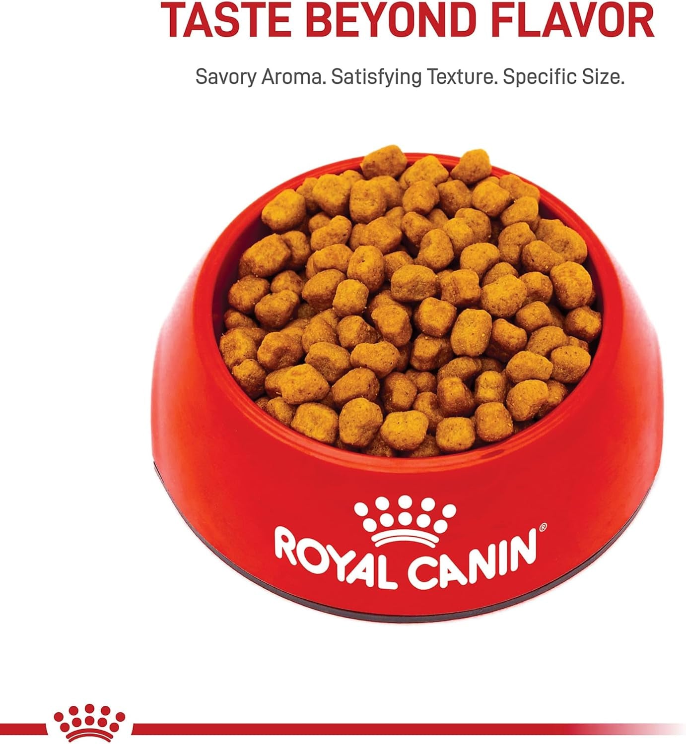 royal-canin-breed-health-nutrition-shih-tzu-adult-dry-dog-food-2-5-lb-bag-specialized-kibble-shape-supports-skin-and-coat-complete-and-balanced-nutrition-2-5-pound-bag