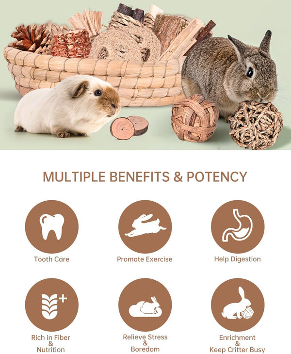 31PCS Rabbit Chew Treat Toys for Teeth Health, Natural Bunny Enrichment Toys for Boredom & Stress Relief, Keep Busy Toys for Guinea Pig Chinchilla Hamster Rat Gerbil Degu Indoor Outdoor3