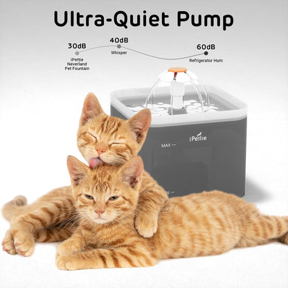 Ipettie Neverland Cat Water Fountain with LED Light, 67Oz/2.0L, Ultra Quiet Drinking Waterer, Automatic Filtered Water Dispenser, Water Purifier for Pets, Grey3