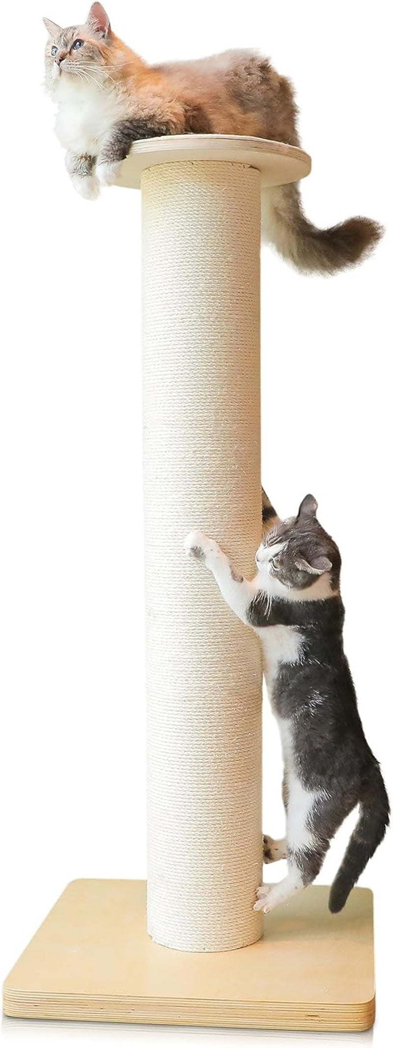 50-tall-cat-scratching-post-extra-large-post-for-large-cats-36-lb-heavy-build-thickest-7-3-inch-sisal-column-wax-oiled-plywood-base-stable-for-maine-coon-and-large-cats