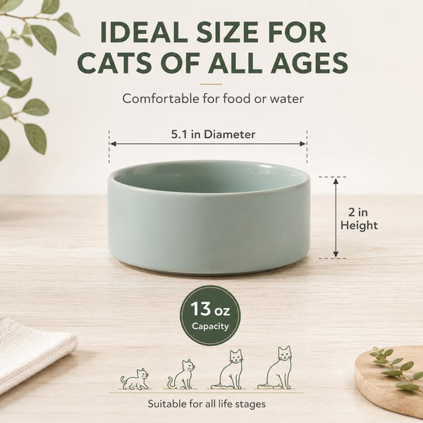 Havniva Cat Bowls Set of Two, 5.1” Ceramic Cat Food and Water Bowls | Cat Food Bowls Whisker Friendly, Non-Slip Base, Food-Grade Ceramic, Wide Opening, Dishwasher Safe, Cat Bowls for Indoor Cats2
