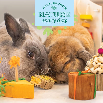 Oxbow Birthday Party Pack, Rabbit & Guinea Pig Toys, Bunny Enrichment Toys | Rabbit Chew Toys, Guinea Pig Enrichment, Guinea Pig Chew Toys, Rabbit Enrichment, Natural Materials, Small Pet Accessories5