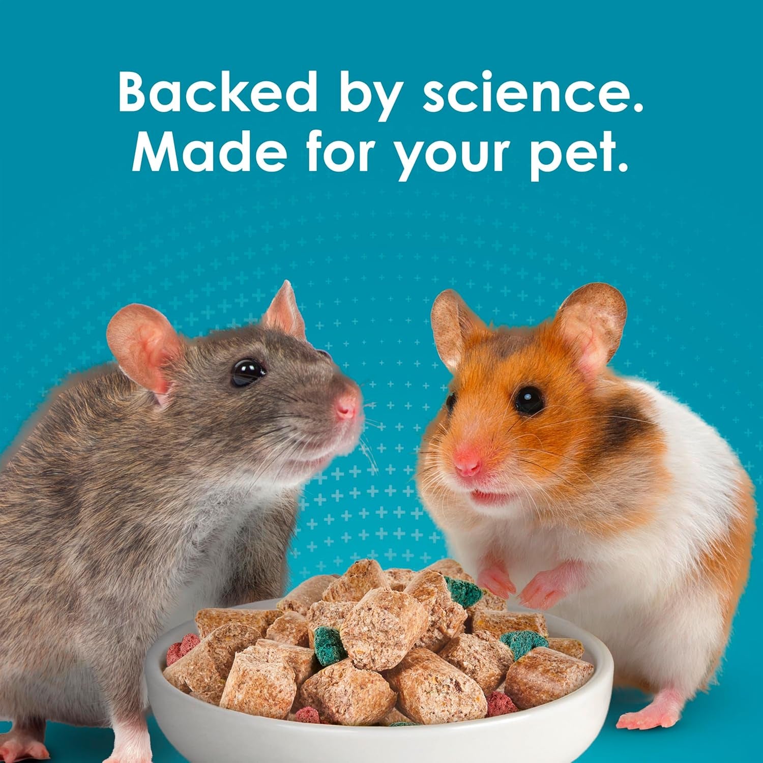 kaytee-forti-diet-pro-health-small-animal-food-for-mouse-and-pet-rats-3-pound