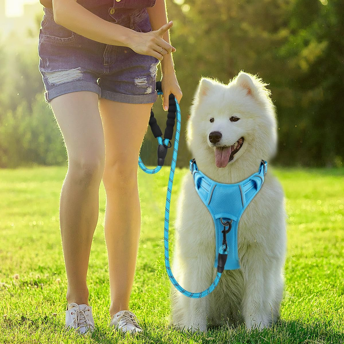 barkbay-dog-harness-no-pull-with-id-tag-pocket-heavy-duty-reflective-easy-control-for-large-dogsblue-l