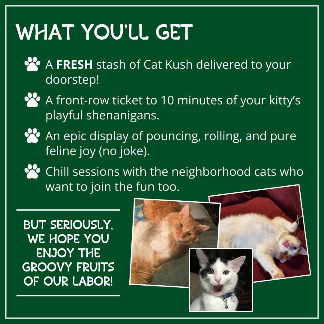organic-catnip-safe-premium-blend-perfect-for-cats-instilled-with-maximized-potency-your-kitty-is-sure-to-go-crazy-for-1-cup-instilled-with-maximized-potency-your-kitty-is-guaranteed-to-go-crazy-for-1-cup