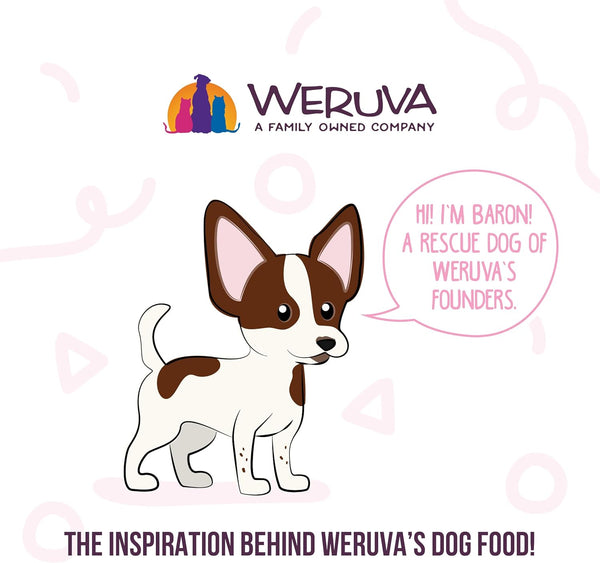 Weruva Meals 'N More Natural Wet Dog Food, Belly Belly Nice! Digestive Support Variety Pack, 3.5Oz Cup (Pack of 10)8
