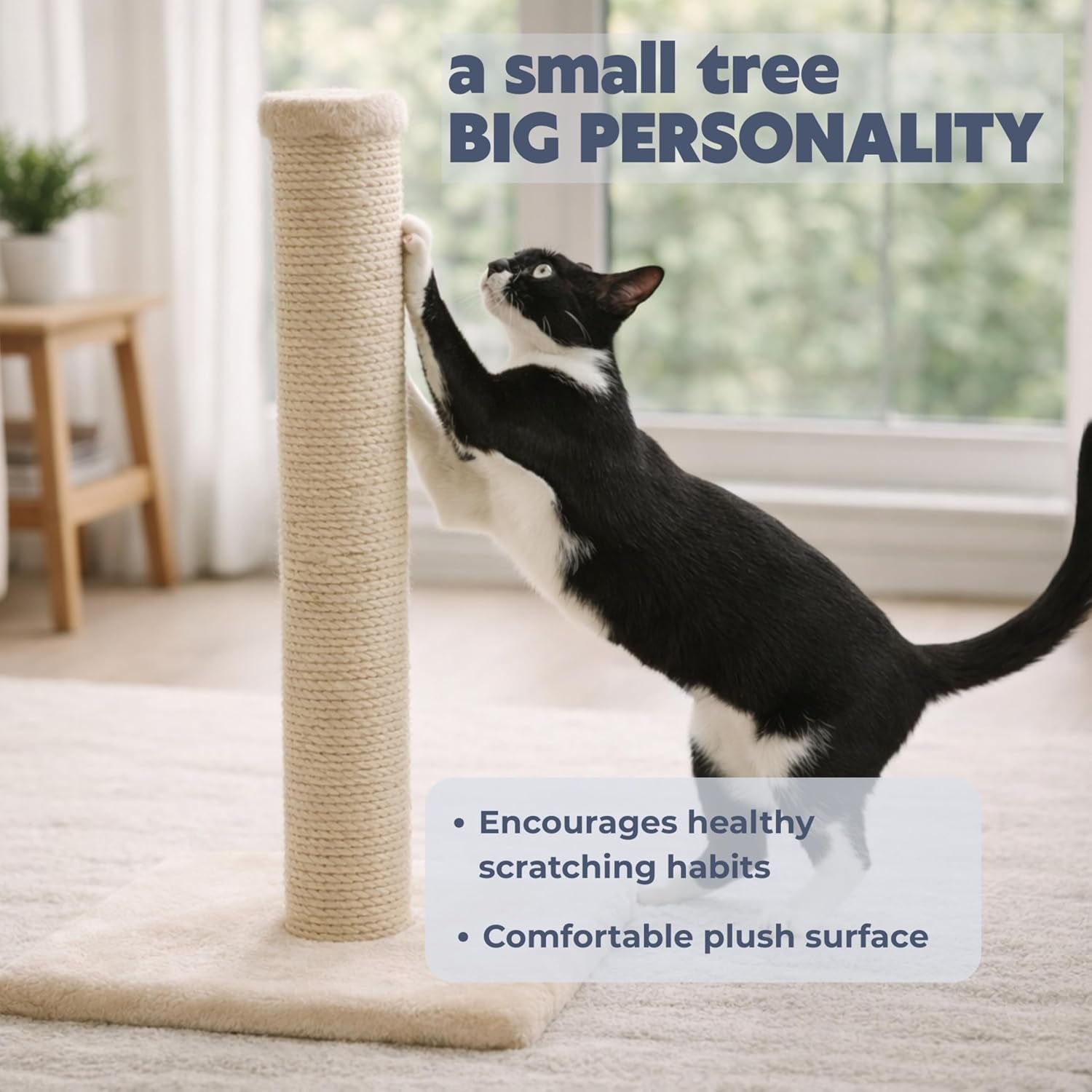 trixie-parla-cat-scratching-post-24-4-inch-cat-scratcher-with-soft-fabric-covering-base-and-durable-natural-jute-rope-beige