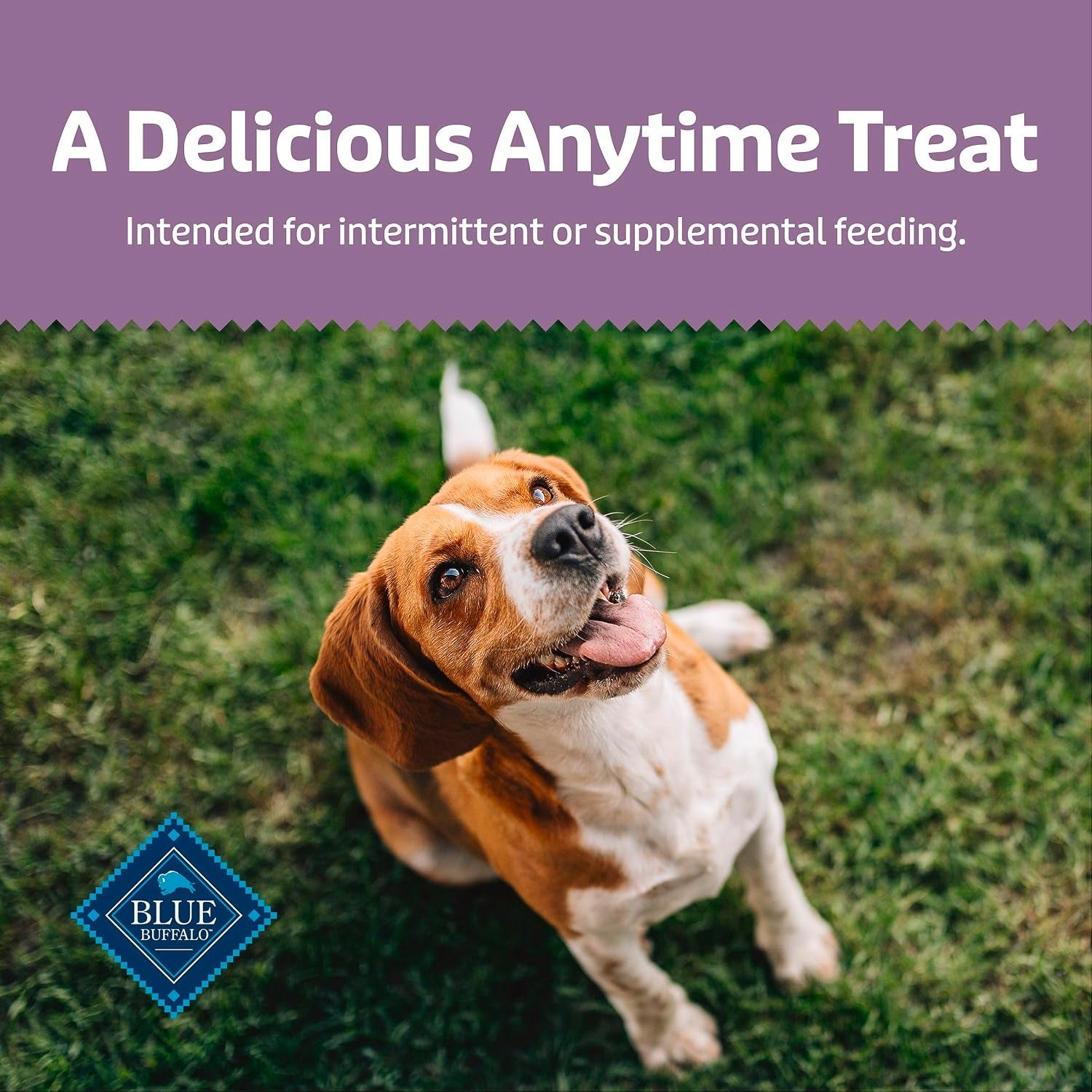 blue-buffalo-soft-chewy-health-bars-baked-with-real-chicken-mixed-berries-natural-dog-treats-enhanced-with-vitamins-and-minerals-9-oz-bag