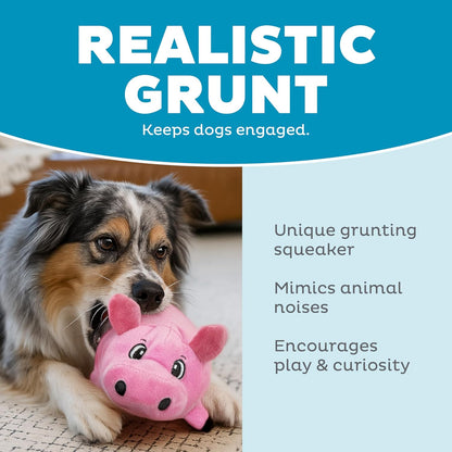 Outward Hound Fattiez Pig Plush Squeaky Dog Toy, Small4