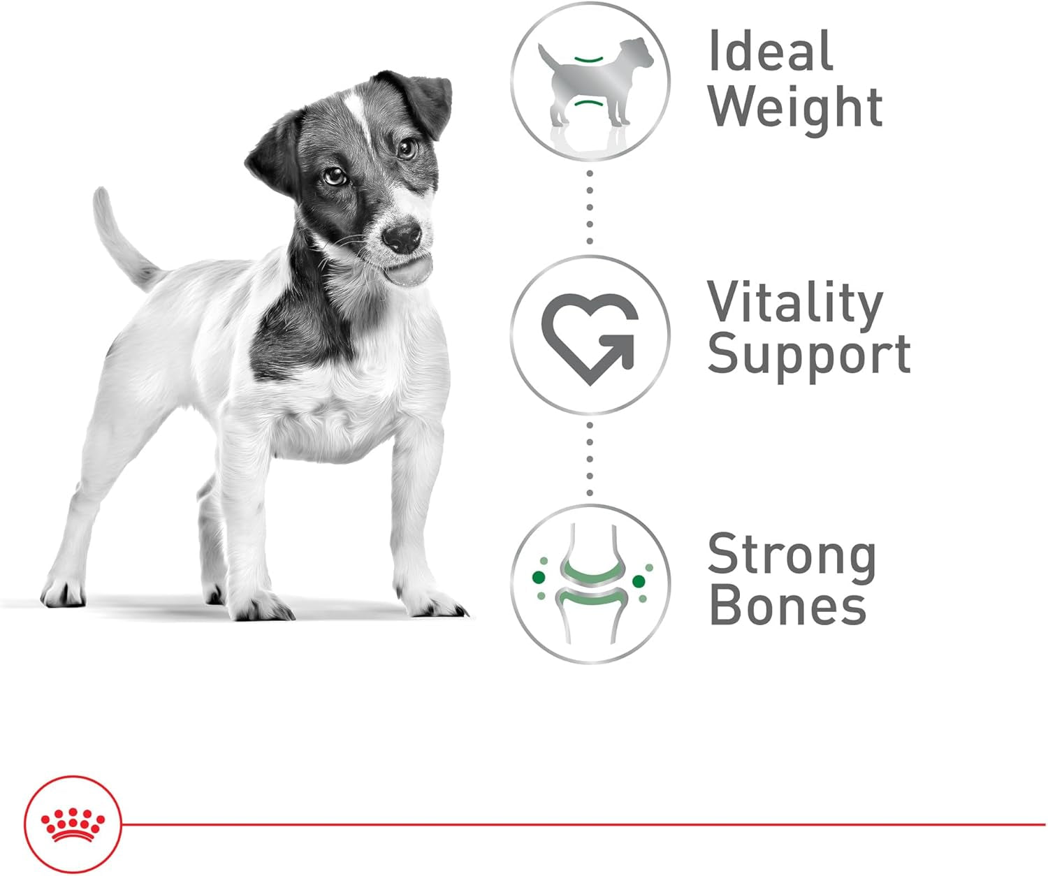 royal-canin-size-health-nutrition-small-8-senior-dry-dog-food-2-5-lb-bag