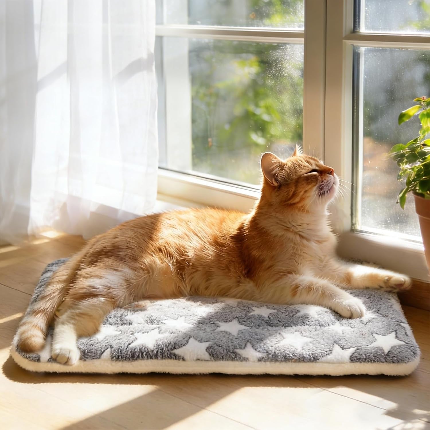 mora-pets-cat-bed-dog-crate-pad-ultra-soft-pet-bed-with-cute-star-print-washable-crate-mat-for-small-dogs-and-indoor-cats-reversible-fleece-dog-kennel-pad-cat-carrier-mat-14-x-17-5-inch-grey