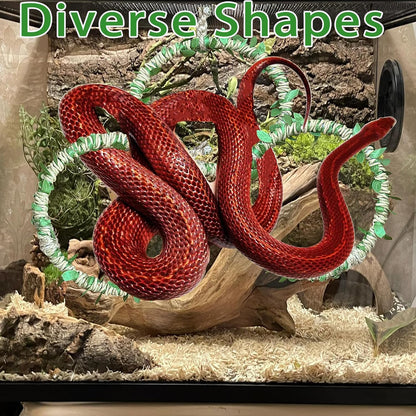 Snake Climbing Rings for Ball Python- Enclosure Accessories – Reptile Habitat Decor, Climbing Branches & Bedding for Ball Python, for Corn Snake Enhancement Ring Toys4