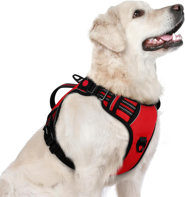 Rabbitgoo Large Dog Harness, Easy Wear with 3 Buckles and Lift Handle | No Pull with Front Clip for Walking, Adjustable Soft Padded, Reflective, Easy Control, Pink, Large13