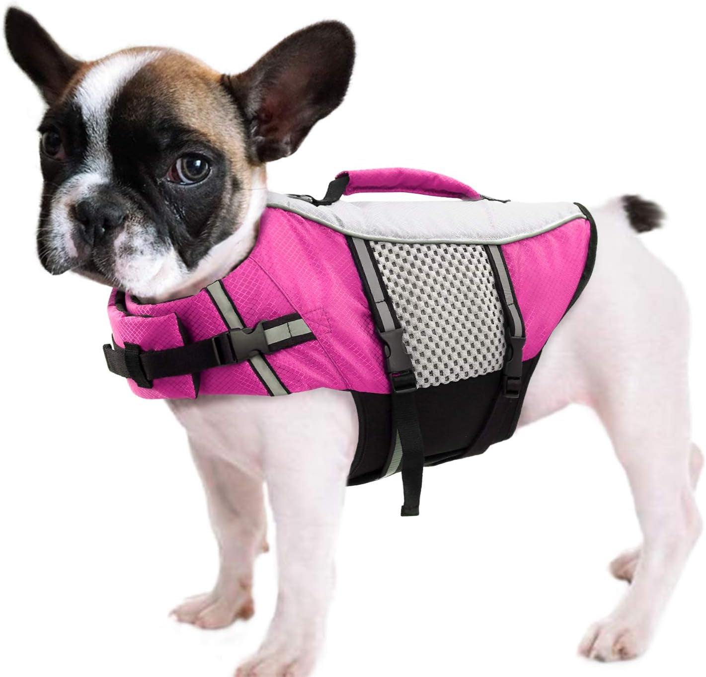 queenmore-dog-life-jacket-small-float-vests-for-swimming-boating-kayaking-mediumn-puppy-dogs-cats-neoprene-life-preserver-pet-water-lifesaver-lightweight-reflective-green-l