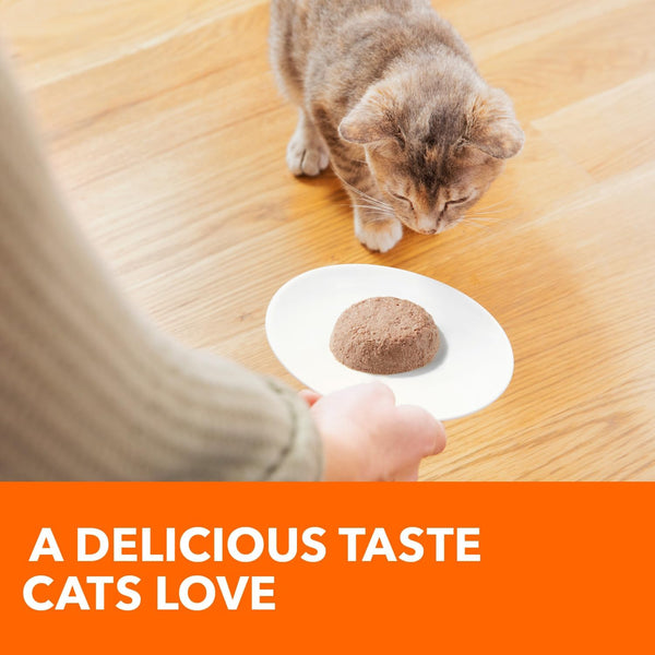 IAMS Perfect Portions Healthy Kitten Pate Wet Cat Food, Chicken, 24 Count | Grain-Free, Vitamin E Immune Support, No Fillers, Made in USA, Snap-Peel-Serve 2.6 Oz. Twin-Pack Trays, No Artificial Flavors3