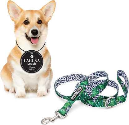 Lucky Love Dog Leash, Beautiful Vivid Patterns, Durable & Long Lasting (Blackbird, Large)11