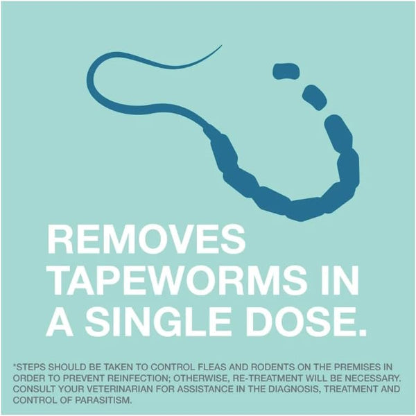 Elanco Tapeworm Dewormer (Praziquantel Tablets) for Cats and Kittens 6 Weeks and Older, 3-Count7