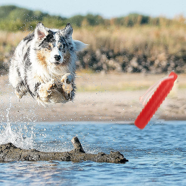 Dog Water Toys, 2 Pack Floating Bumper Fetch Toy Dummy | Interactive Retrieving Training Float Pet Rope Toy for Pool, Lake Outdoor Small Medium Large Dogs7
