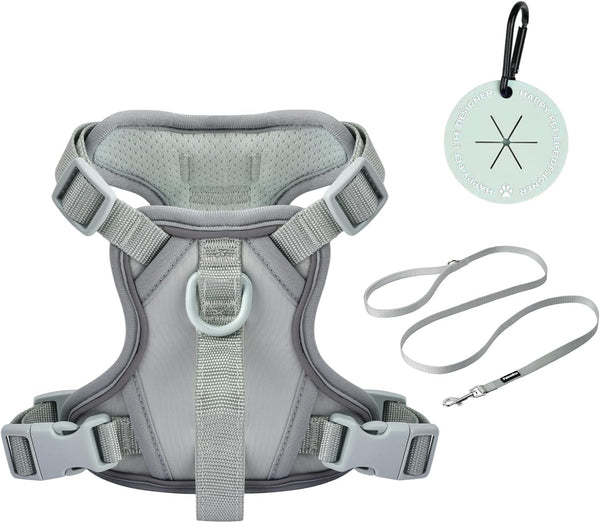 Petmolico No Pull Cute Dog Harness Reflective, Light Blue, Small | Set Includes Leash & Waste Bag Holder, 2 Clips & Handle, Soft Comfy Fit, Adjustable, Ideal for Daily Walks & Travel14