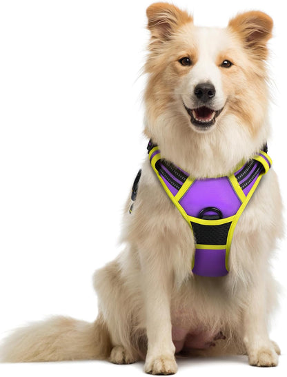 Rabbitgoo Dog Harness, No Pull for Large Dogs with 2 Leash Clips, Pet Vest | No Choke with Handle, Adjustable Soft Padded, Reflective, Easy Control for Walking, Black, Large149