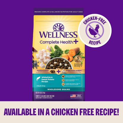 Wellness Complete Health+ Adult Dry Dog Food with Freeze Dried Wellbites, Wholesome Grain Kibble+, Natural, Chicken and Oatmeal Recipe, 4 Lb Bag9