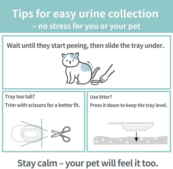 Cat Urine Collection Kit (6-Pack) – Clean Catch Urine Sample Tray for Cats & Small Dogs – Disposable Pet Urine Collector Tray – No Special Litter Needed – Made in Japan8