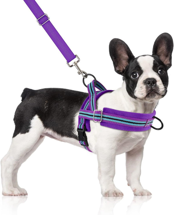 Slowton No Pull Small Dog Harness and Leash Set, Puppy Soft Vest Harness Neck & Chest Adjustable, Reflective Lightweight Harness & Anti-Twist Pet Lead Combo for Small Medium Dogs (Fuchsia, XXS)10