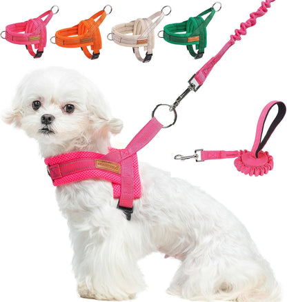BEAUTYZOO Dog Harness No Pull, Quick Fit Dog Harness and Leash Set, Escape Proof Vest Harness with Soft Handle, Reflective Breathable Mesh Padding Harness for Medium Size Dog Training Walking, Beige M17
