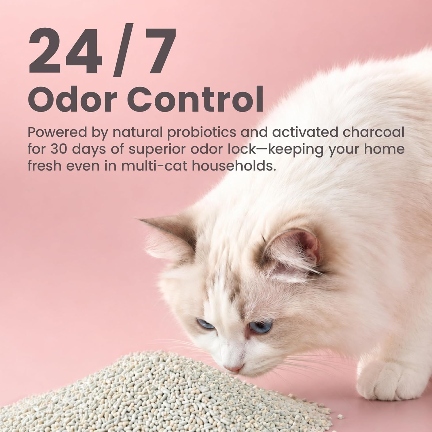 lady-n-tofu-cat-litter-low-dust-compatible-with-auto-box-unscented-9lb-mini-pellet-shape-strong-clumping-ultra-absorbent-activated-charcoal-odor-control
