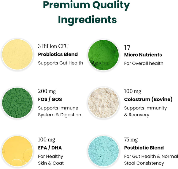 Dog Probiotics and Multivitamin Chews for Digestive Health, Immune Support, Gut Health, Allergy Support, Dog Vitamins, with Vitamin C, Omega 3, Colostrum, 60 Soft Chews per Jar3