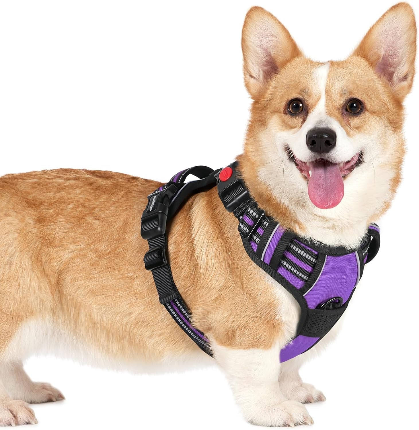 rabbitgoo-dog-harness-medium-sized-updated-easy-on-off-with-3-buckles-no-pull-no-choke-walking-with-2-clips-and-handle-adjustable-soft-reflective-blue-medium