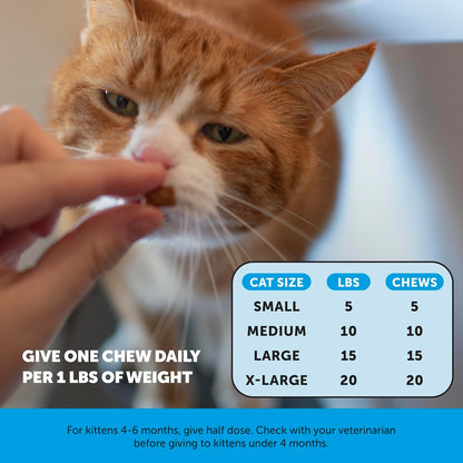 Cat Skin & Coat Supplement Crunchy Creamy Chews - Salmon Oil for Cats Omega 3 Itchy Dry Skin Relief - Feline Shedding Control - Biotin Vitamins for Indoor Cats Shiny Soft Coat (30-Day Supply)6