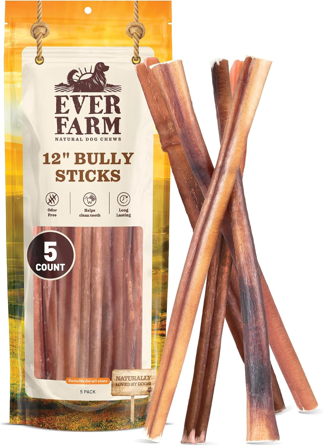 pet-odor-free-standard-bully-sticks-12-5-pack-100-grass-fed-beef-pizzle-dog-chews-fully-digestible-long-lasting-dental-treats