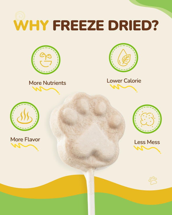 PAWUP Freeze Dried Chicken Cat Treats, High-Protein Cat Snacks, 10 Pack | Chicken First, High Protein, Interactive Feeding, Daily Rewards, Cat Lollipops Treat, Birthday Cat Treat, Interactive Feeding3