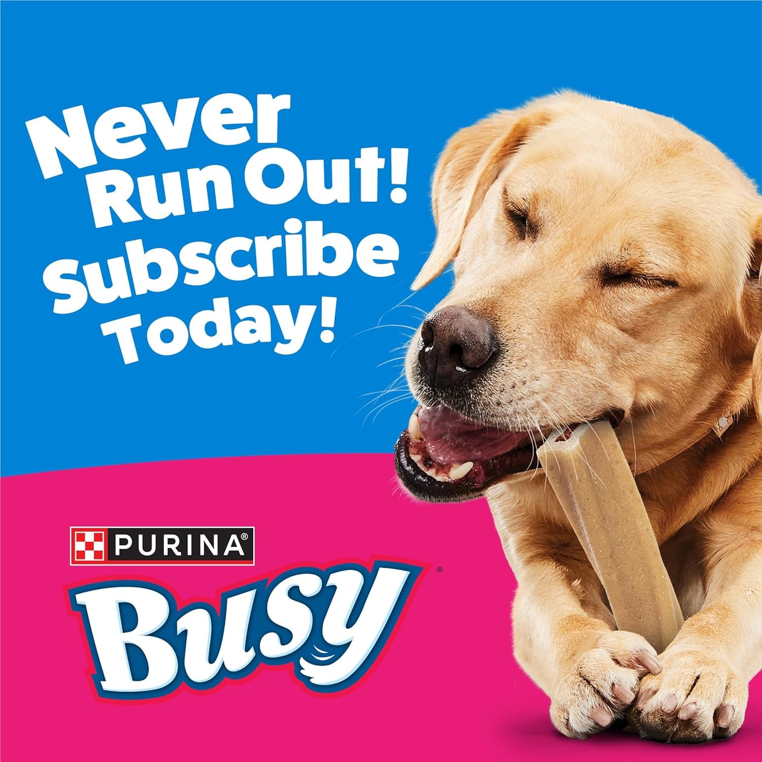 purina-busy-bone-adult-dog-chew-bone-treats-original-10-ct-pouch