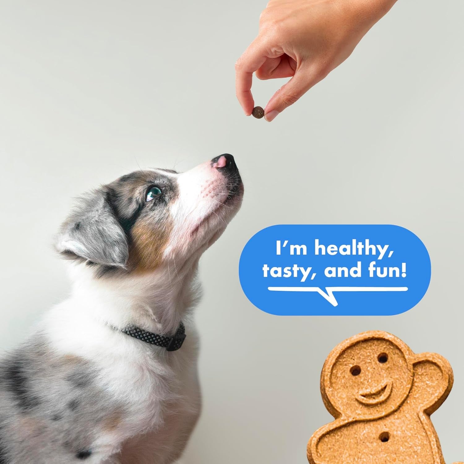 buddy-biscuits-trainers-training-bites-soft-chewy-dog-treats-bacon-10-oz-pouch