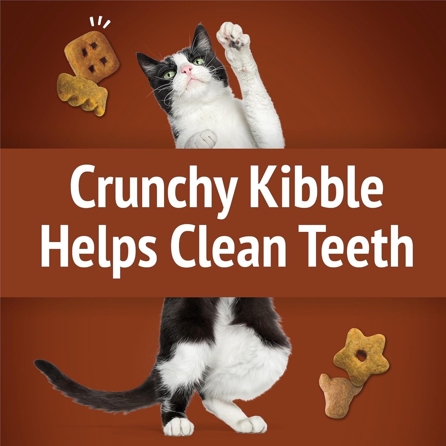 purina-friskies-cat-treats-party-mix-wild-west-crunch-pack-of-10-2-1-oz-pouches