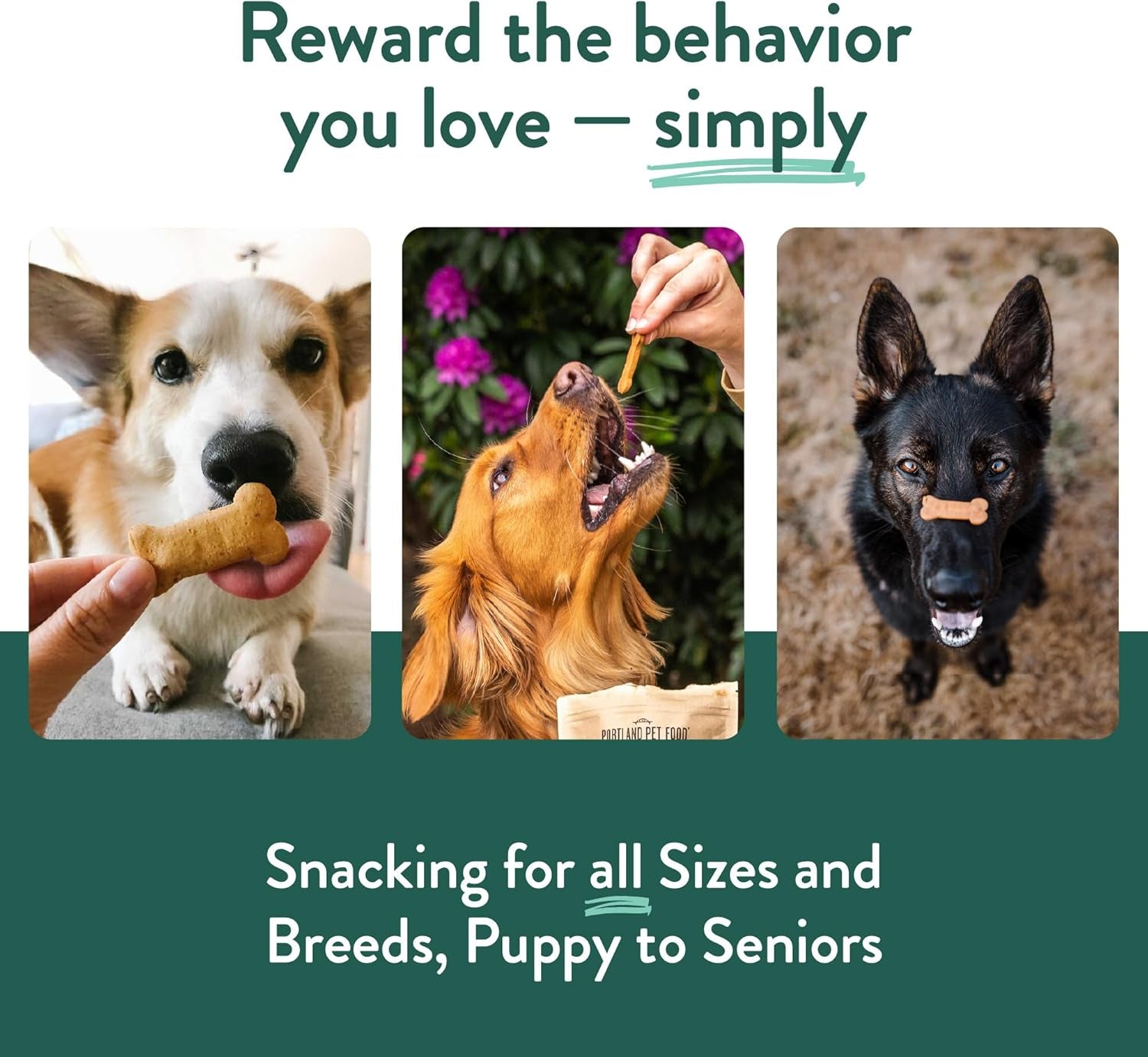 portland-pet-food-pumpkin-dog-treats-healthy-grain-free-biscuits-5-oz-human-grade-limited-ingredient-natural-low-calorie-training-treats-for-small-large-dogs-puppy-to-senior-made-in-usa